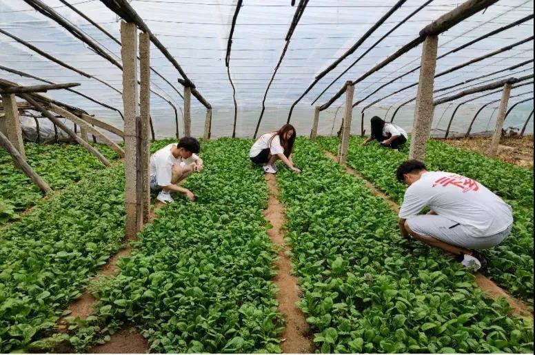 长科学子用行动践行青春担当